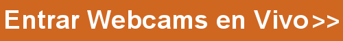 Mulata en su Primer Show Webcam